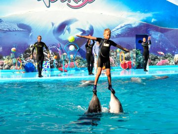  Тарас Чекурда: як працює дельфінотерапія в Україні*