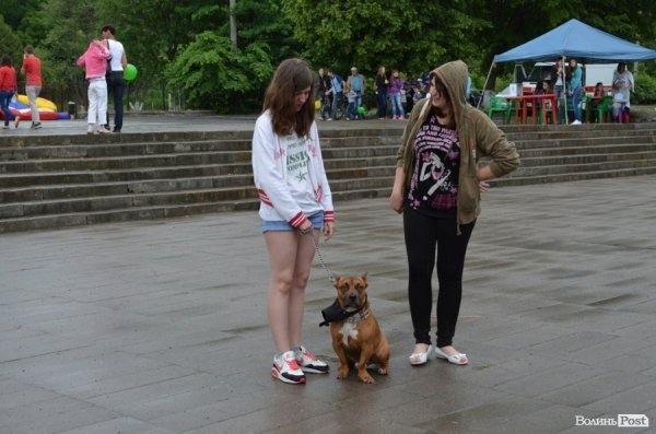 «Проспект розваг» у Луцьку відбувся попри дощову погоду. ФОТО