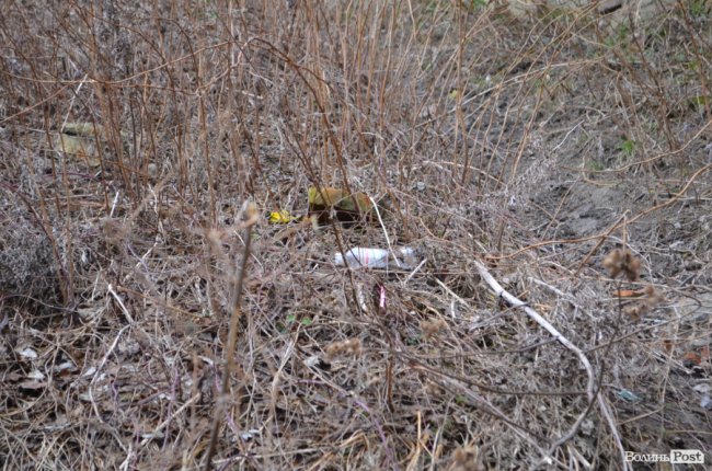 Нетуристичний Луцьк, або Що ховають під стінами замку Любарта. ФОТО
