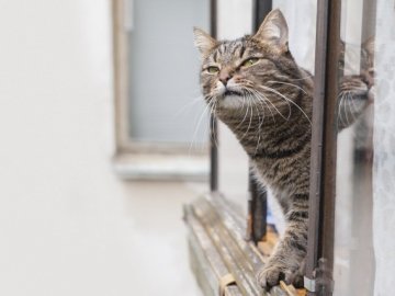 Повідомили, коли в Україні відчутно потепліє 