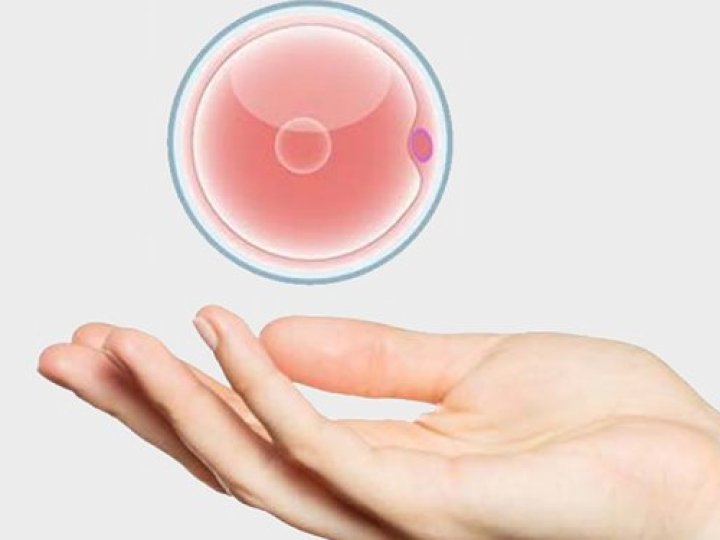 Чому жінки вирішують стати донорами яйцеклітин