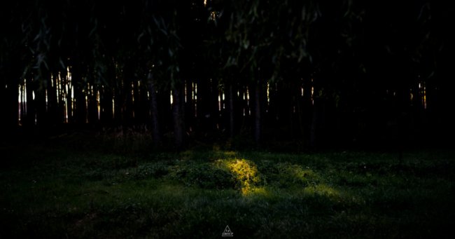 Курортне селище Волині у променях вечірнього сонця. ФОТО