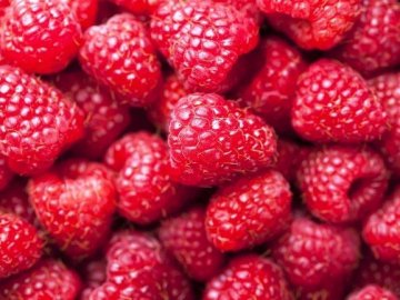 Депутат просить «відродити» ягідництво на Волині