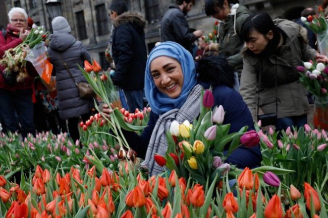 У Нідерландах безплатно роздали 200 тисяч тюльпанів