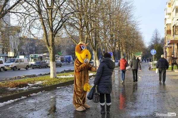У Луцьку відкрили новий магазин «Сирне королівство»*
