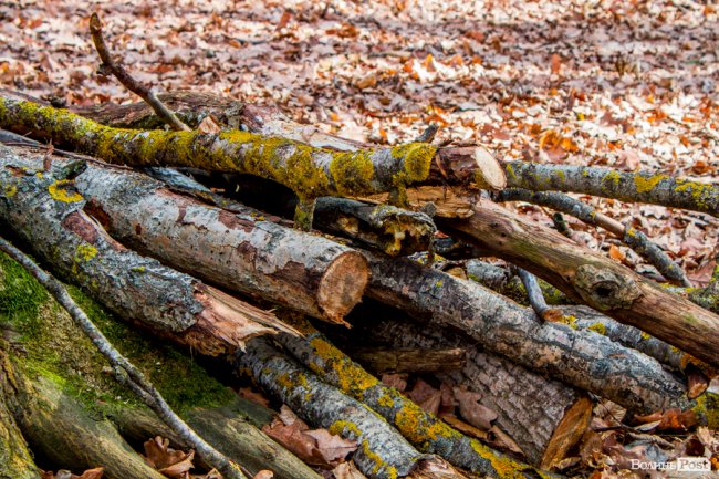 Перший день весни у «волинській Швейцарії». ФОТОРЕПОРТАЖ