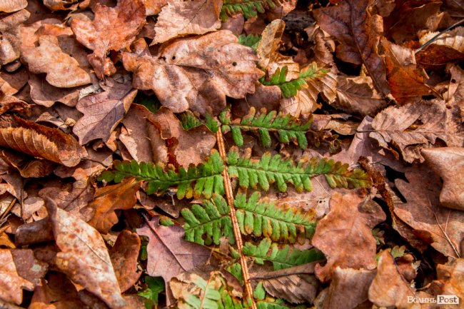 Перший день весни у «волинській Швейцарії». ФОТОРЕПОРТАЖ