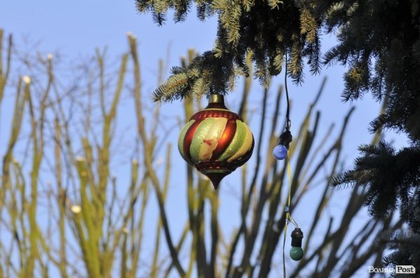 Новий Рік приходить: Луцькі ялинки прикрашають