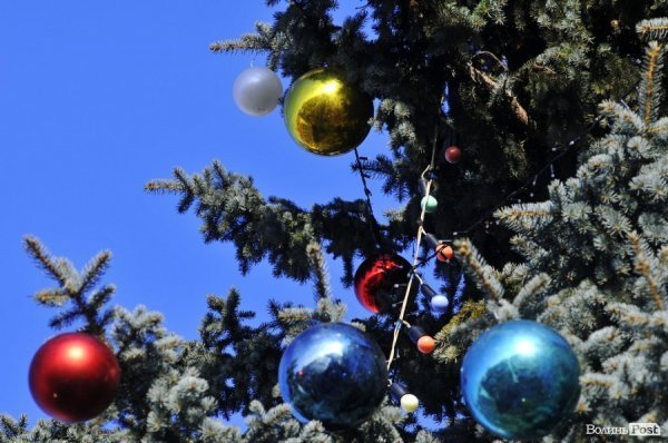Новий Рік приходить: Луцькі ялинки прикрашають