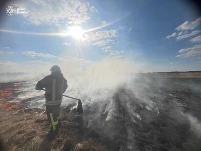 Горіло 14 га сухої трави: на Волині пожежі гасили рятувальники, лісники та селяни