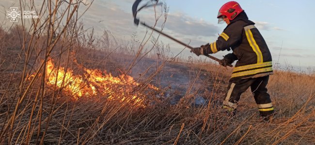 Горіло 14 га сухої трави: на Волині пожежі гасили рятувальники, лісники та селяни