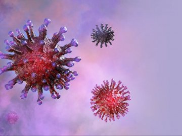 На Волині за минулу добу виявили 79 нових випадків Covid-19, один – летальний