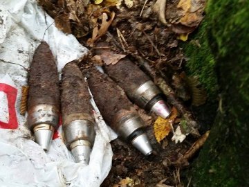 Шукали гриби – знайшли боєприпаси. ФОТО арсеналу у лісі