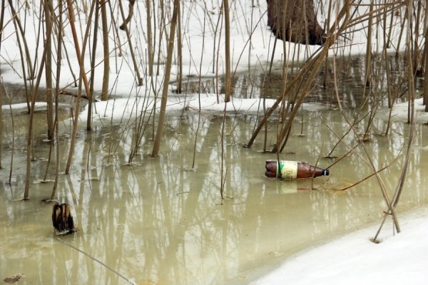 Центральний парк