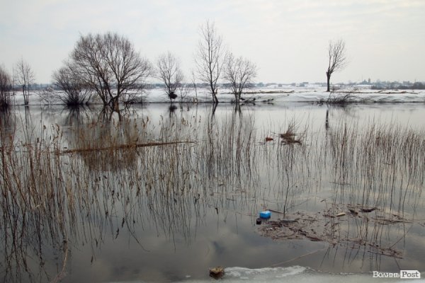 Відлига у Луцьку. ОНОВЛЕНО. ФОТО