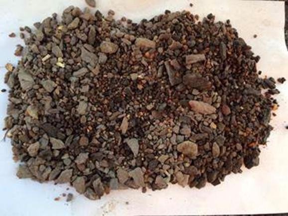 На Волині вилучили бурштину на 1,5 мільйон гривень. ФОТО