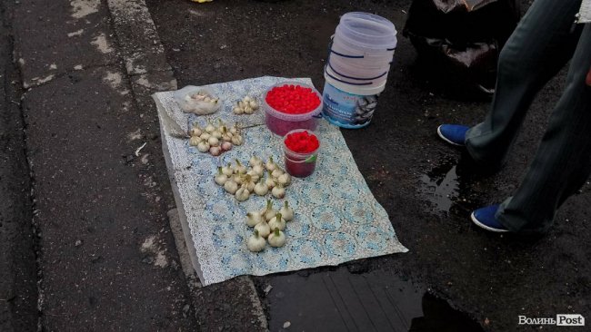 Від і до: скільки на луцькому ринку коштує малина