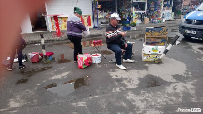 Від і до: скільки на луцькому ринку коштує малина