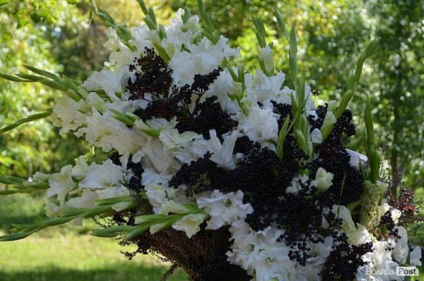 Луцький пологовий будинок