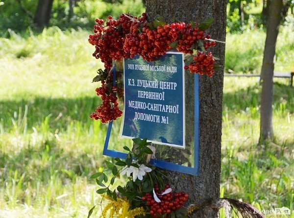 Свято квітів у Луцьку. ФОТО