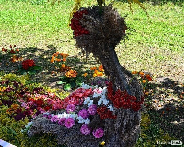 Свято квітів у Луцьку. ФОТО