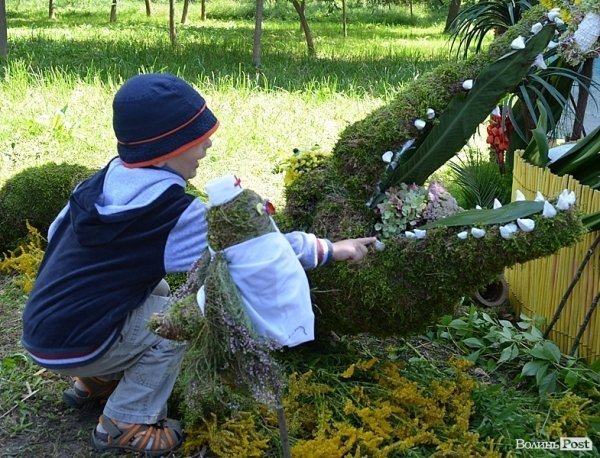 Свято квітів у Луцьку. ФОТО