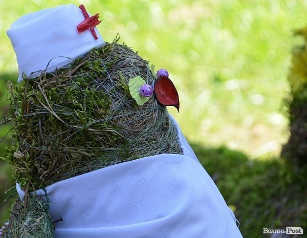 Свято квітів у Луцьку. ФОТО