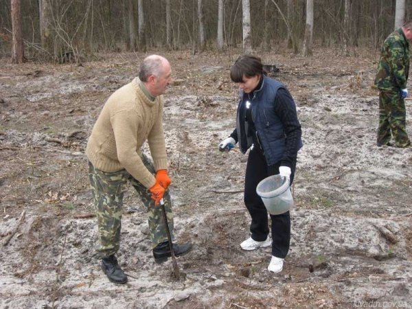 Чиновники на чолі з Колісником садили ліс