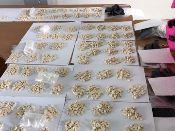 Волинські правоохоронці допомогли викрити іноземця, який ввозив в Україну  психотропи