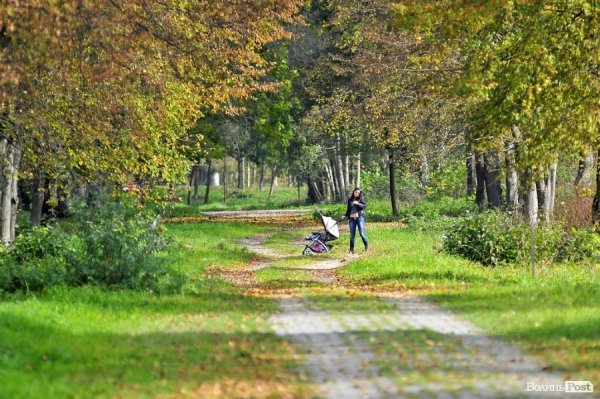 «Бабине літо» і «бебі-бум» Луцьку. ФОТО