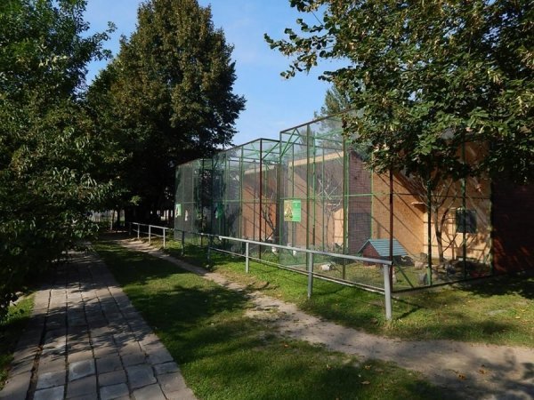 У Луцькому зоопарку оновили вольєри. ФОТО