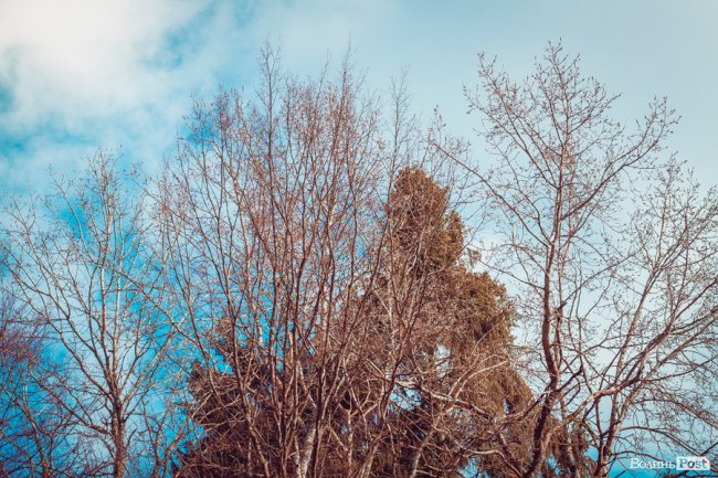 Перший день весни у «волинській Швейцарії». ФОТОРЕПОРТАЖ
