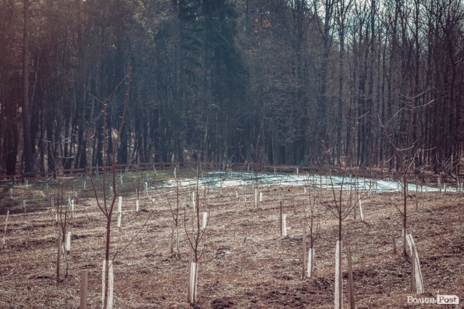 Перший день весни у «волинській Швейцарії». ФОТОРЕПОРТАЖ