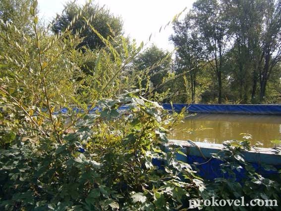 У Ковелі містечко розваг для дітей - у бур'янах. ФОТО