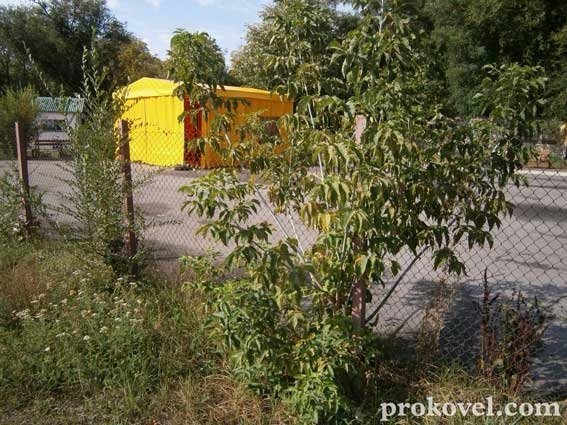 У Ковелі містечко розваг для дітей - у бур'янах. ФОТО