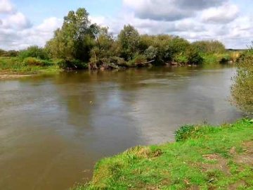 Побив і викинув у Стир: жахливе вбивство чоловіка на Рівненщині