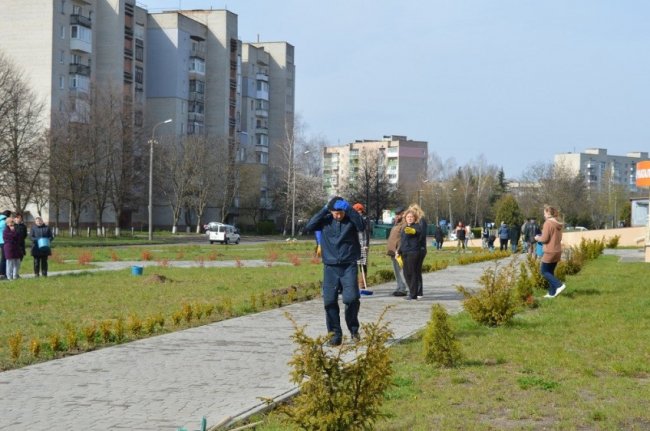 Лісівники та медики озеленили територію Волинського перинатального центру. ФОТО