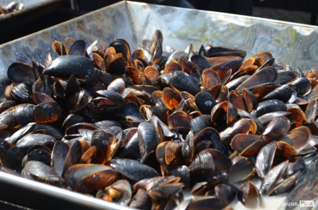 У замку Любарта стартував Lutsk Food Fest: що і за скільки пропонують скуштувати. ФОТО