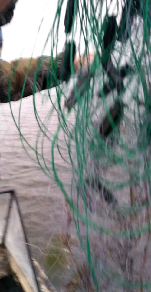 На Ковельському водосховищі двоє чоловіків ловили рибу «екранами»