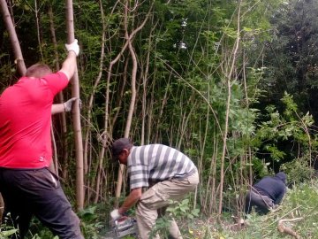 У Луцьку розчищають береги Сапалаївки: видалять більше 200 аварійних дерев 