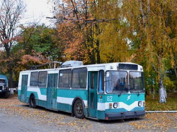 «Рогатого» музею на колесах у Луцьку не буде, бо нема грошей, – мерія
