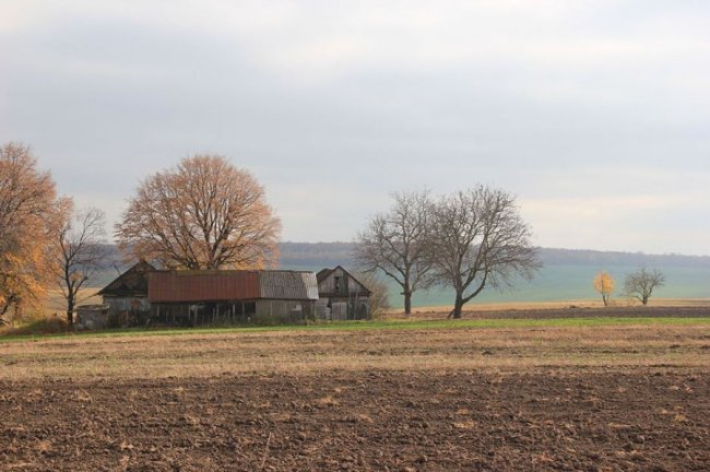 Осінньо-зимові пейзажі на світлинах волинського фотографа