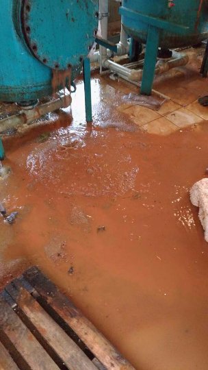 Нічого не робили з часів «царя гороха»: у селі під Луцьком очищують воду