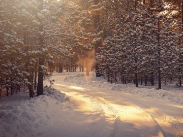 Погода в Луцьку та Волинській області на завтра, 16 січня