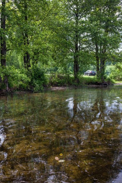 Таємничий Світязь через об'єктив волинського фотографа