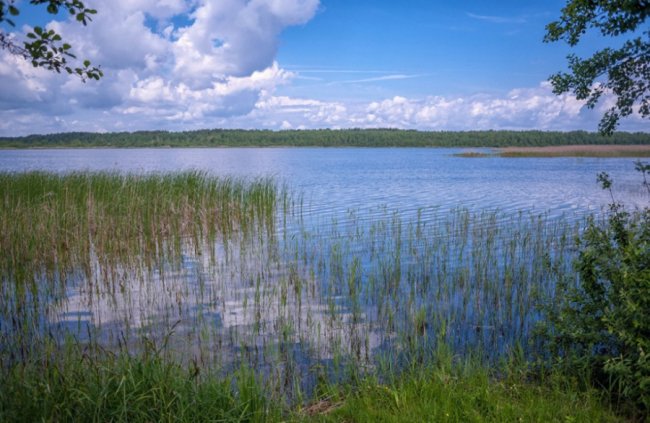 Таємничий Світязь через об'єктив волинського фотографа