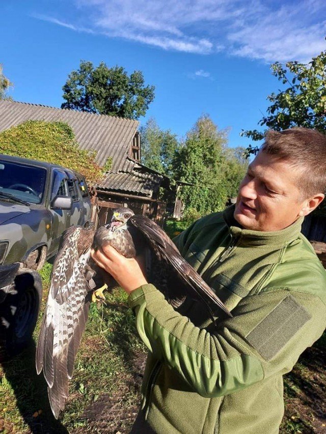 Волинські розвідники врятували птаха.ФОТО