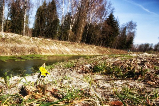 Пробудження природи: гарні світлини першого весняного тепла