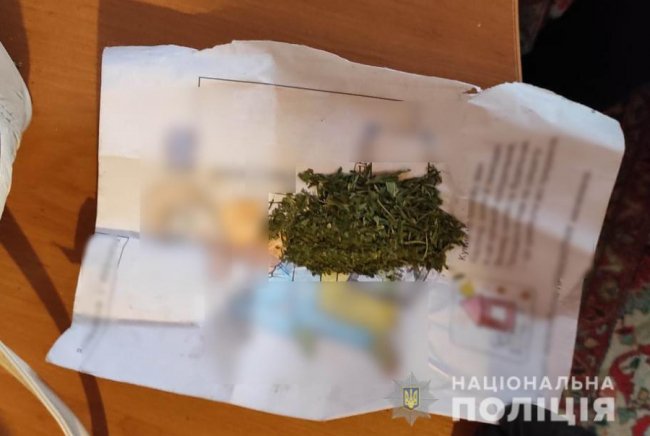 Вирощував коноплю замість вазонів: у волинянина вилучили марихуану