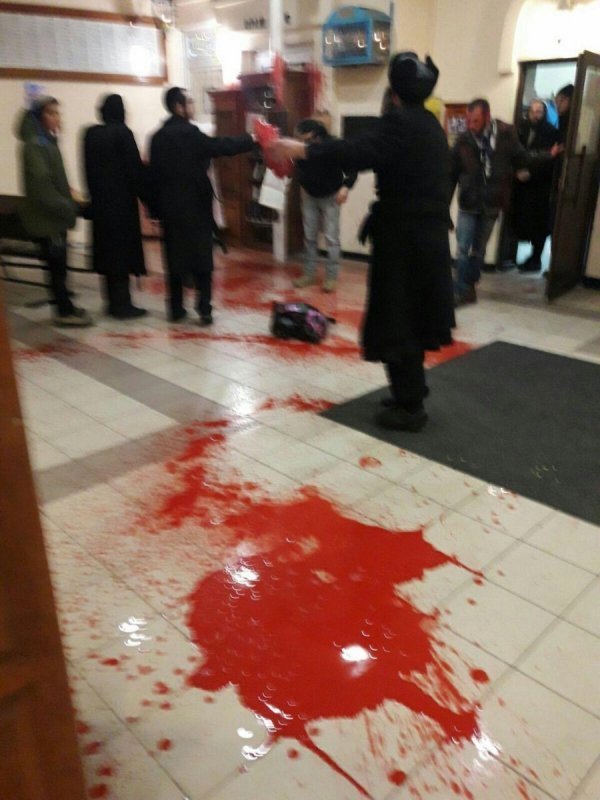 Кров і голова свині: в Умані влаштували погром в синагозі